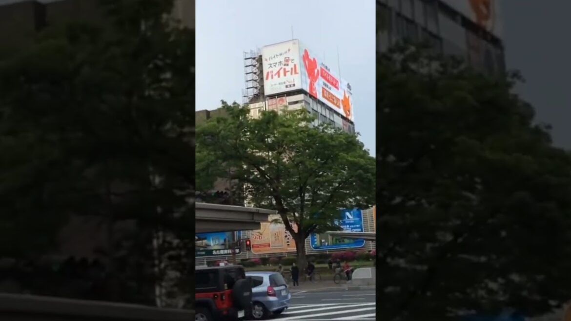 First Day in Nagoya #japan #japanese #japanlife  #japantravel #japanvlog #nagoya