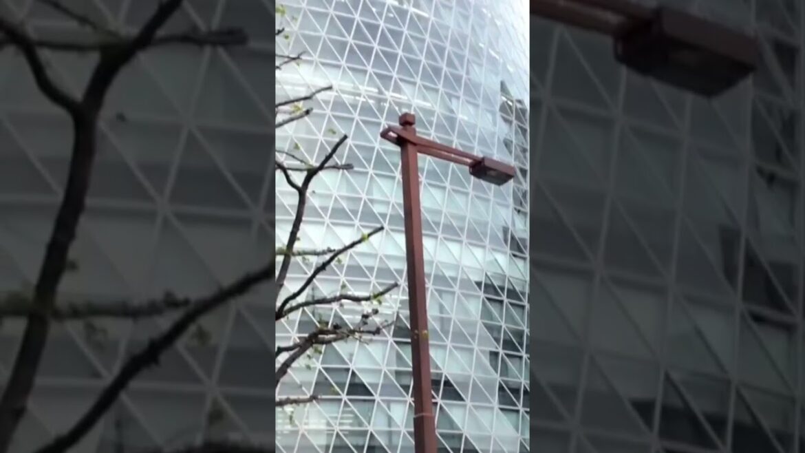 First Day in Nagoya #japan #japanese #japanlife  #japantravel #japanvlog #nagoya