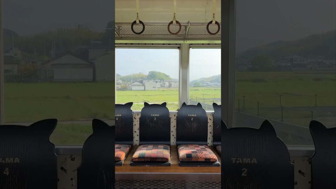 Riding a CAT THEMED TRAIN through Japan’s countryside 🐈🚃🇯🇵 #japantravel