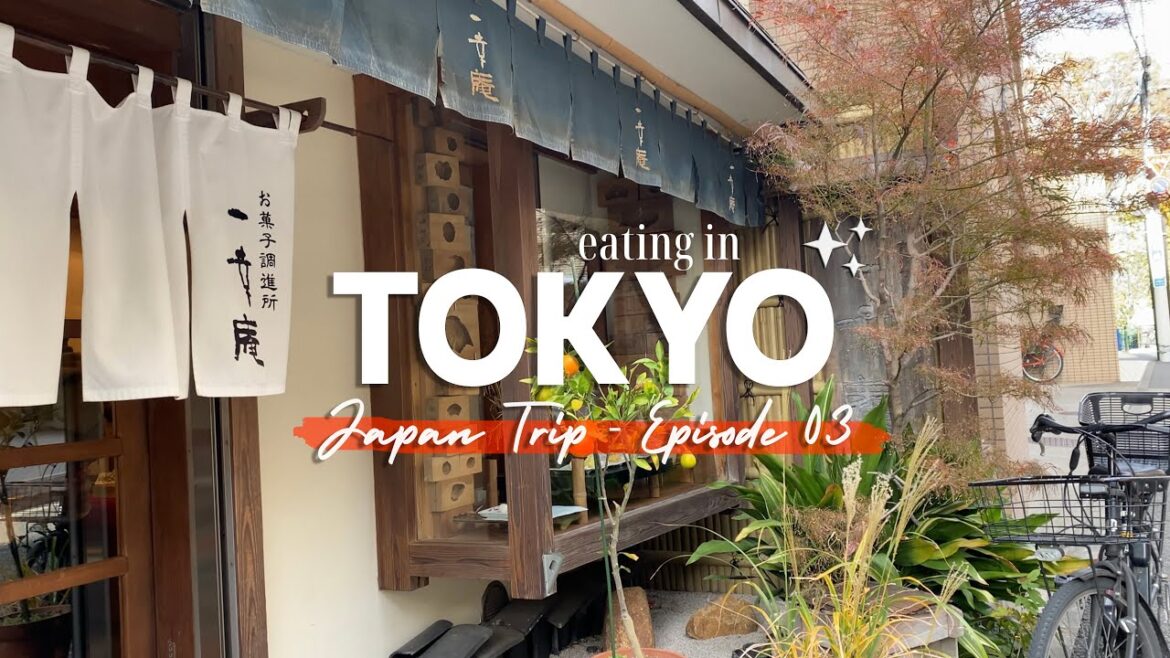 What I Ate in Tokyo | Japan Trip 🇯🇵 | Silent Travel Vlog