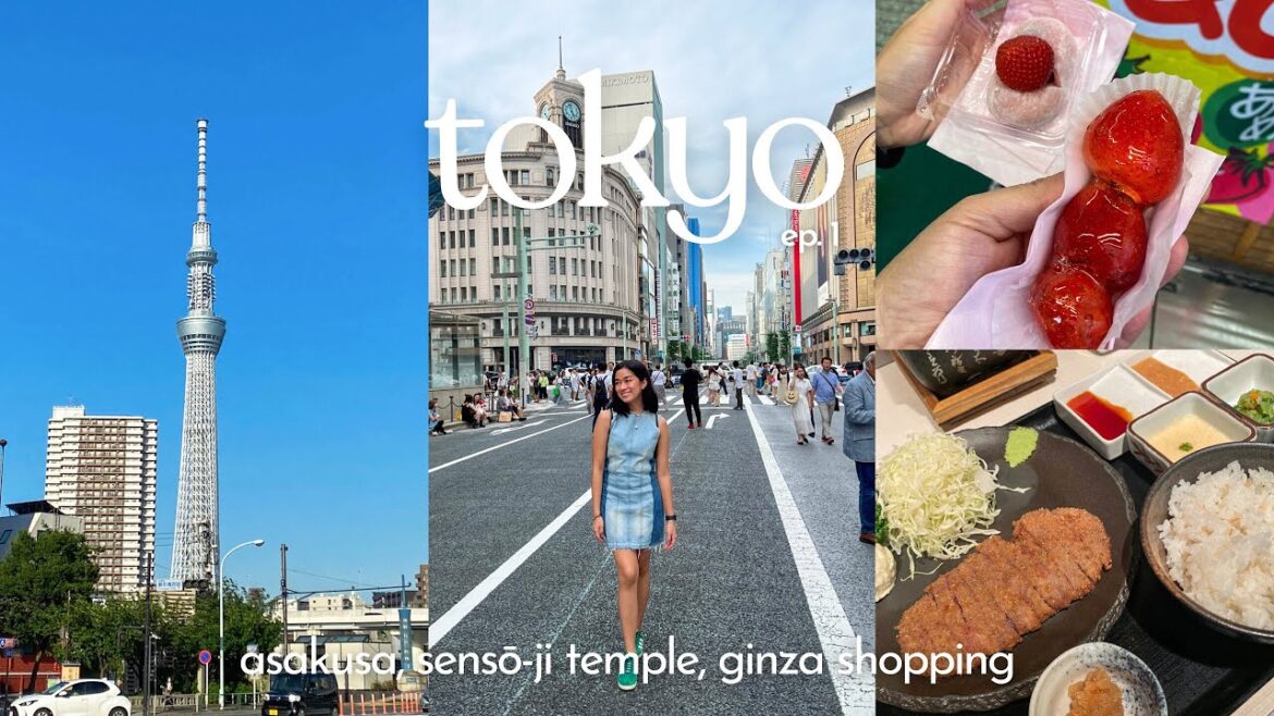 tokyo vlog π―π΅ | asakusa sensoji temple, nakamise street, teamLab, gyukatsu, don quijote tokyo vlog π―π΅ | asakusa sensoji temple, nakamise street, teamLab, gyukatsu, don quijote