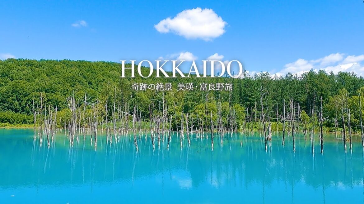 [Miraculous scenery] Japan's most beautiful nature in Biei and Furano in Hokkaido | travel vlog