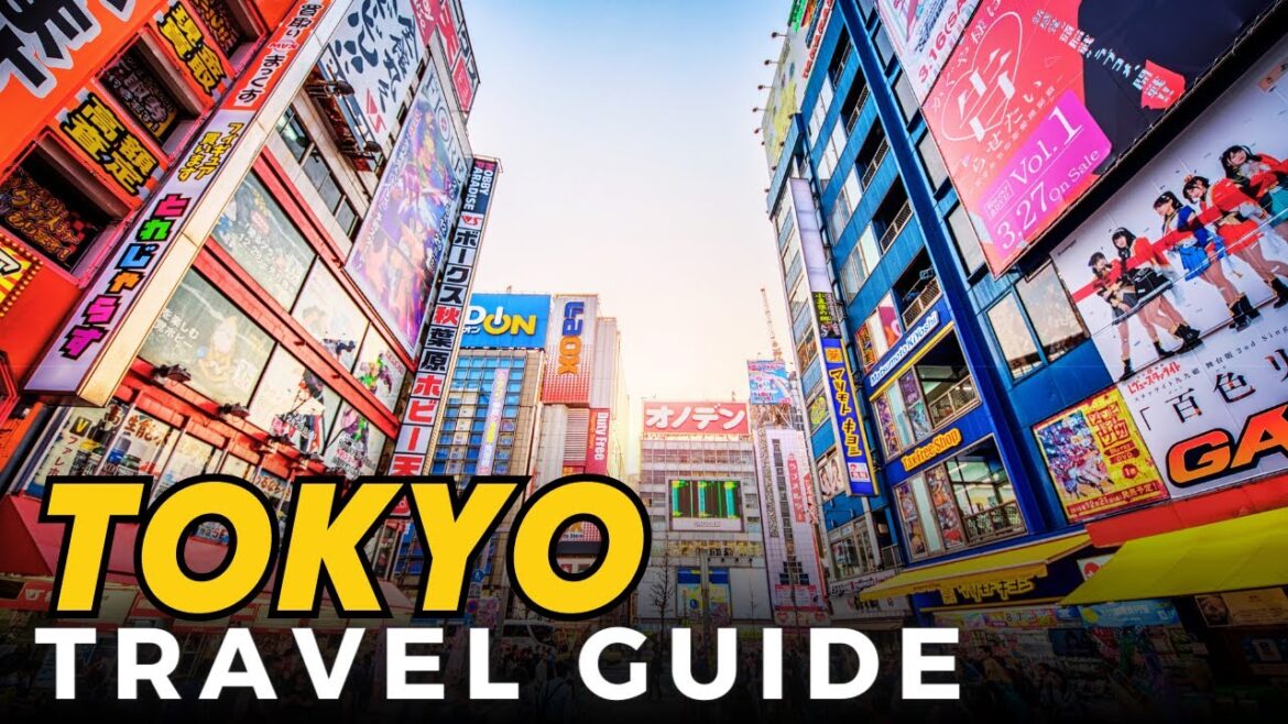BEST Way To Travel TOKYO 2024