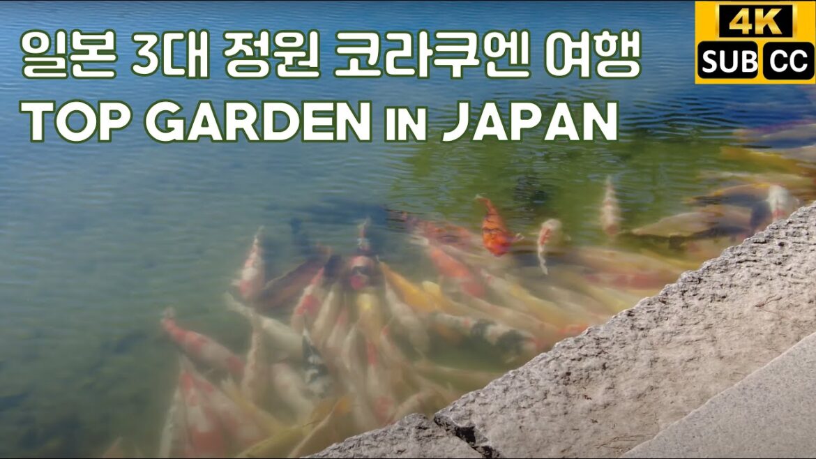 Okayama Tour : Korakuen, One of Three Great Gardens in Japan and Okayama Castle Okayama Tour : Korakuen, One of Three Great Gardens in Japan and Okayama Castle