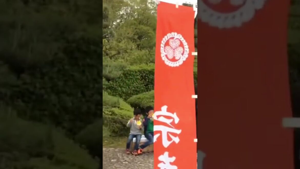 Nagoya Castle  #japan #japanese #japanlife  #japantravel #japanvlog #nagoya