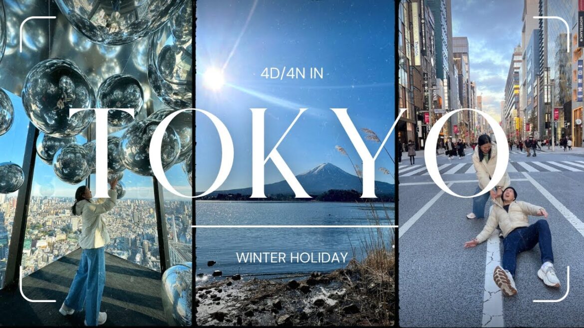 4D4N Winter Holiday in Tokyo