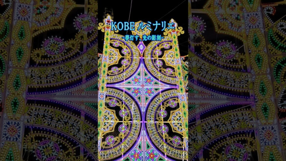 神戸ルミナリエ2024 スパッリエーラ 東遊園地会場 #osmopocket3 神戸ルミナリエ2024 スパッリエーラ 東遊園地会場 #osmopocket3