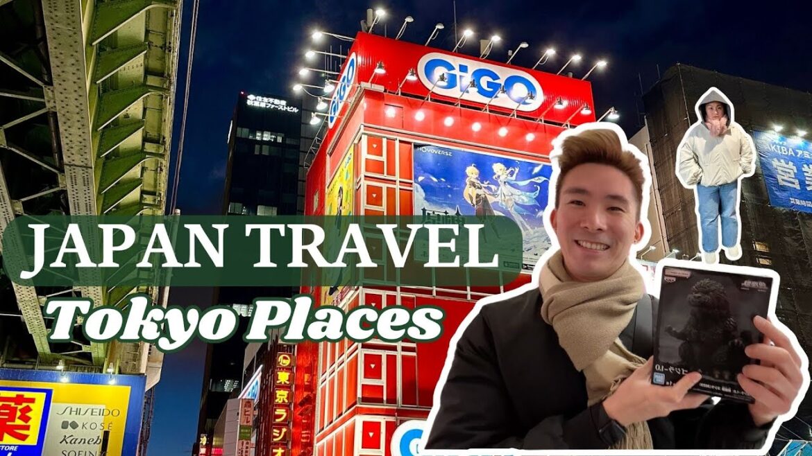 Japan Travel Vlog: Things To Do in Tokyo Shinjuku | Tokyo Hotel, Korean Town, Food Japan Travel Vlog: Things To Do in Tokyo Shinjuku | Tokyo Hotel, Korean Town, Food