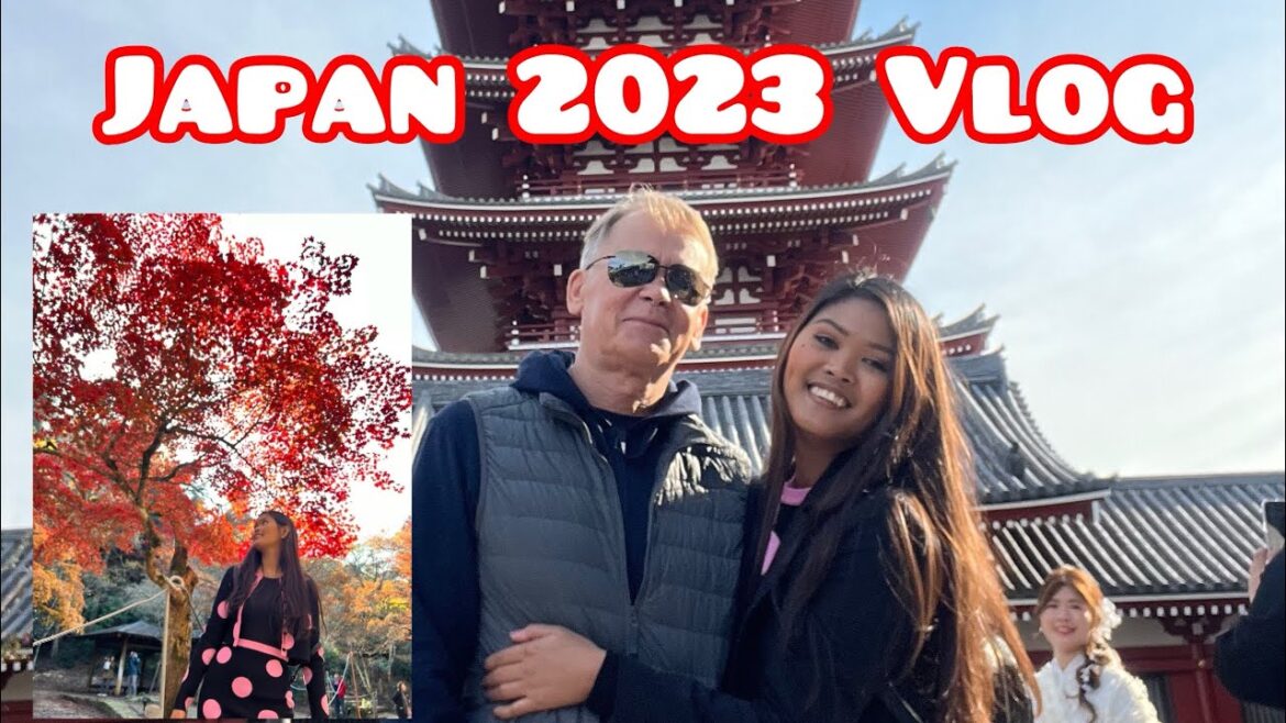 JAPAN TRAVEL VLOG 2023+Walking Tour (Tokyo,Kyoto,Hiroshima)