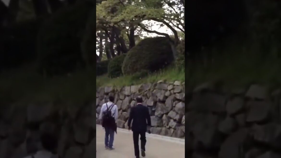 Nagoya Castle  #japan #japanese #japanlife  #japantravel #japanvlog #nagoya