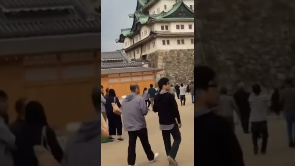 Nagoya Castle #japan #japanese #japanlife #japantravel #japanvlog #nagoya Nagoya Castle #japan #japanese #japanlife #japantravel #japanvlog #nagoya