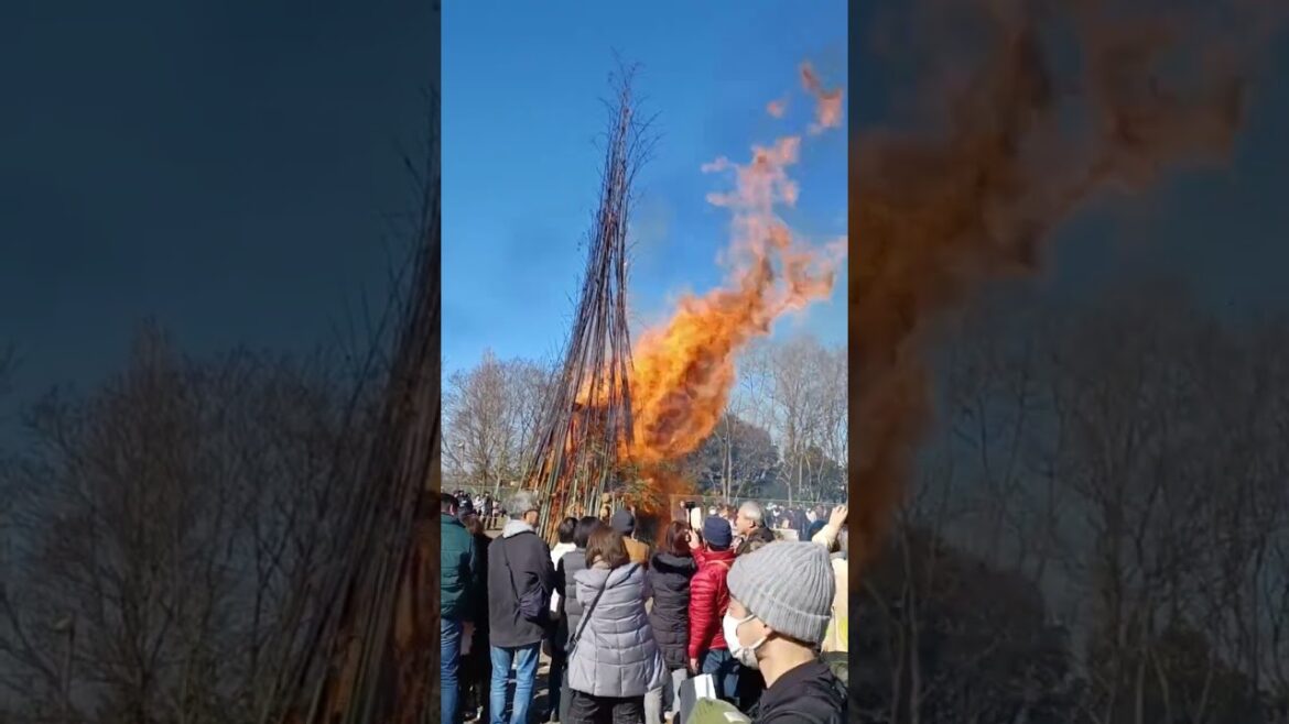 【Kobe】Japanese Culture Burning New Year’s Decorations - Municipal Arboretum