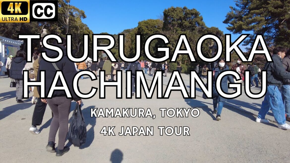 [4K] Japan Walk Tour | Tsurugaoka Hachimangu | Tokyo