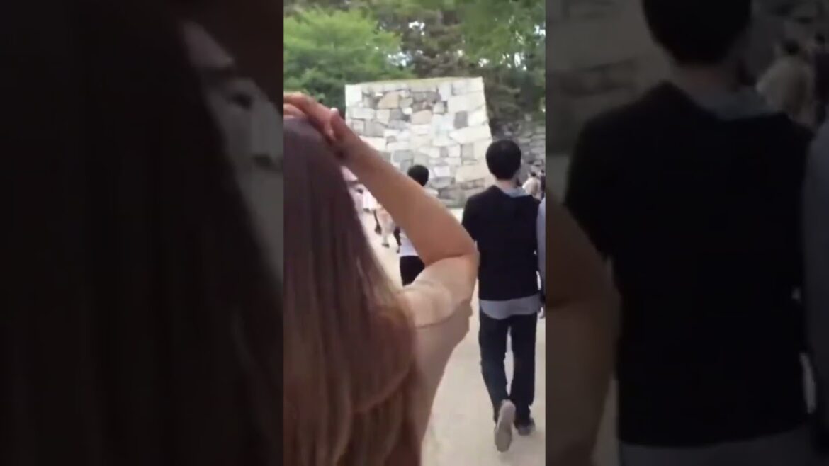 Nagoya Castle  #japan #japanese #japanlife  #japantravel #japanvlog #nagoya