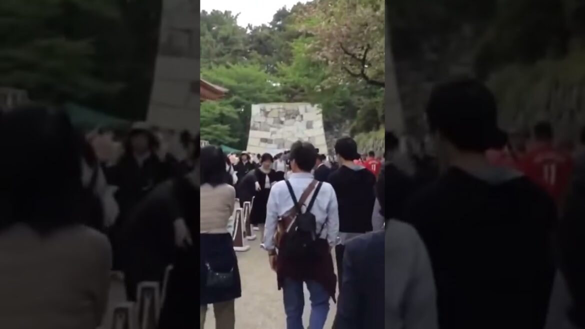 Nagoya Castle  #japan #japanese #japanlife  #japantravel #japanvlog #nagoya