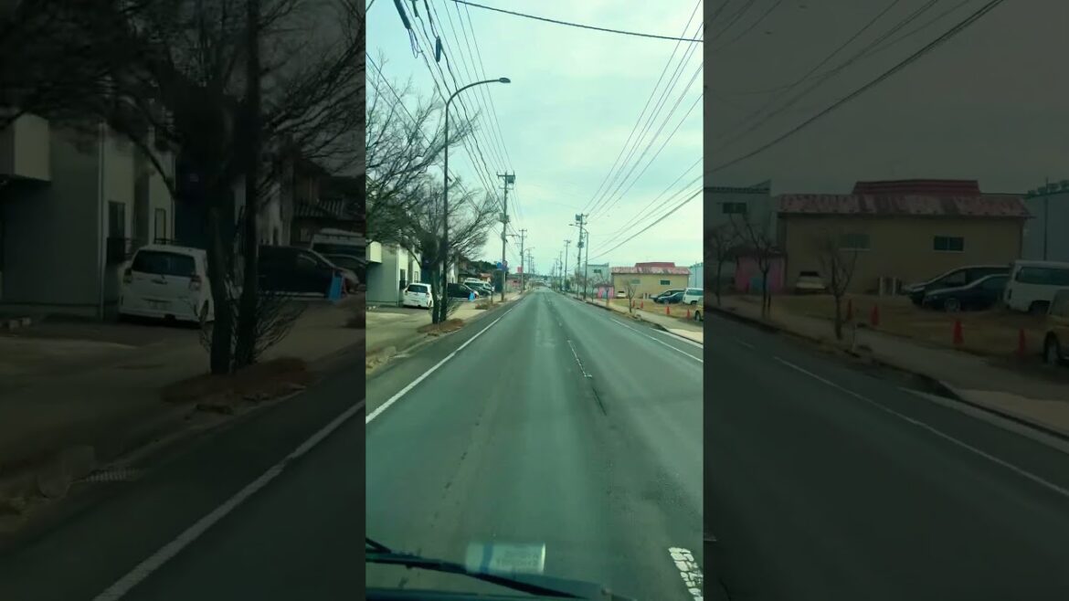 At Japan today morning sendai Fukushima vlog #shortvideo #travel #japanroad #train #japanlover