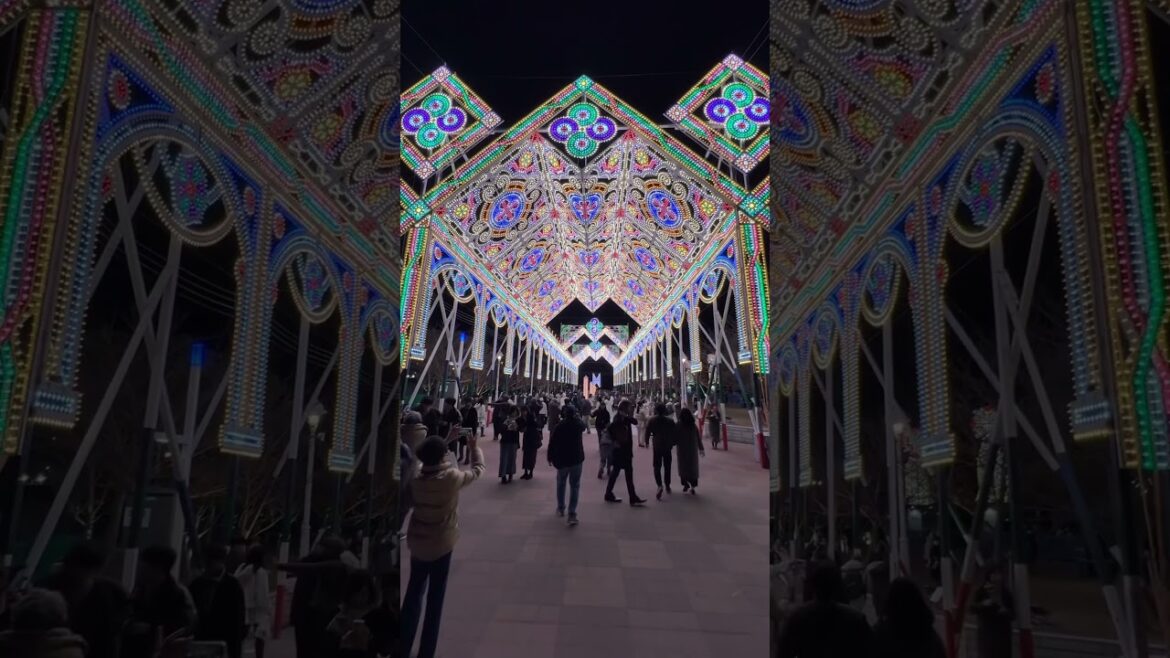Walking throught Kobe Luminarie 2024.