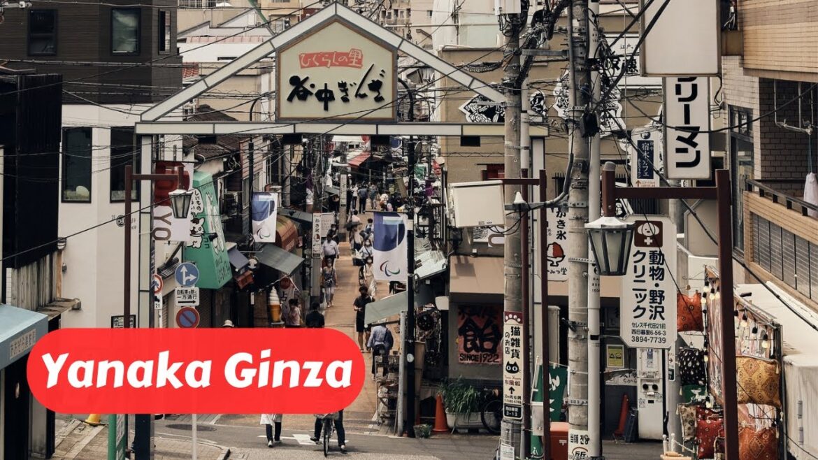 Yanaka Ginza Food & Antiques Adventure: Exploring One of Tokyo's Oldest Districts!