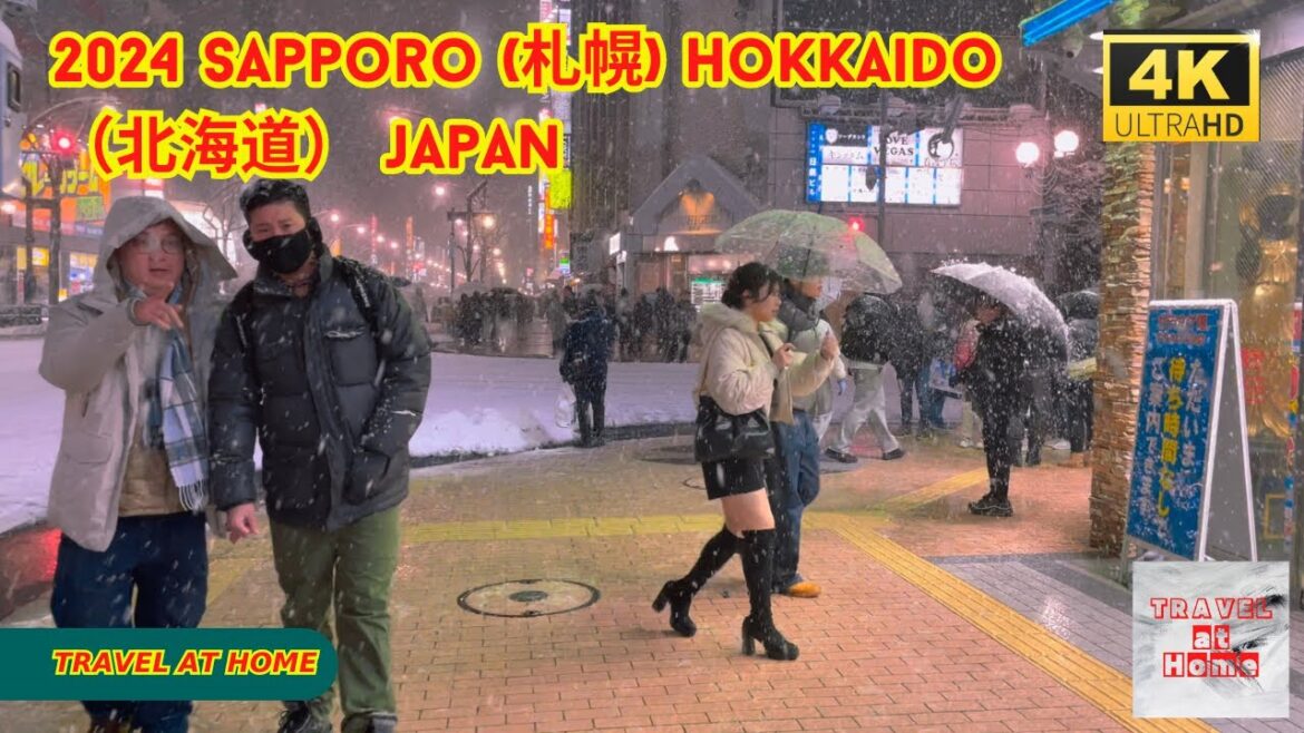 4k hdr japan travel 2024 l Heavy Snow Walk in Sapporo (札幌) Hokkaido（北海道）| Relaxing Natural ambience