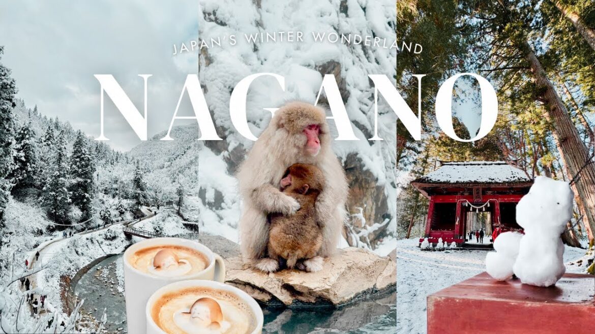 Nagano, Japan’s Hidden Gem | ♨️ Onsen Snow Monkeys & famous soba 🍜 Japan Travel Vlog