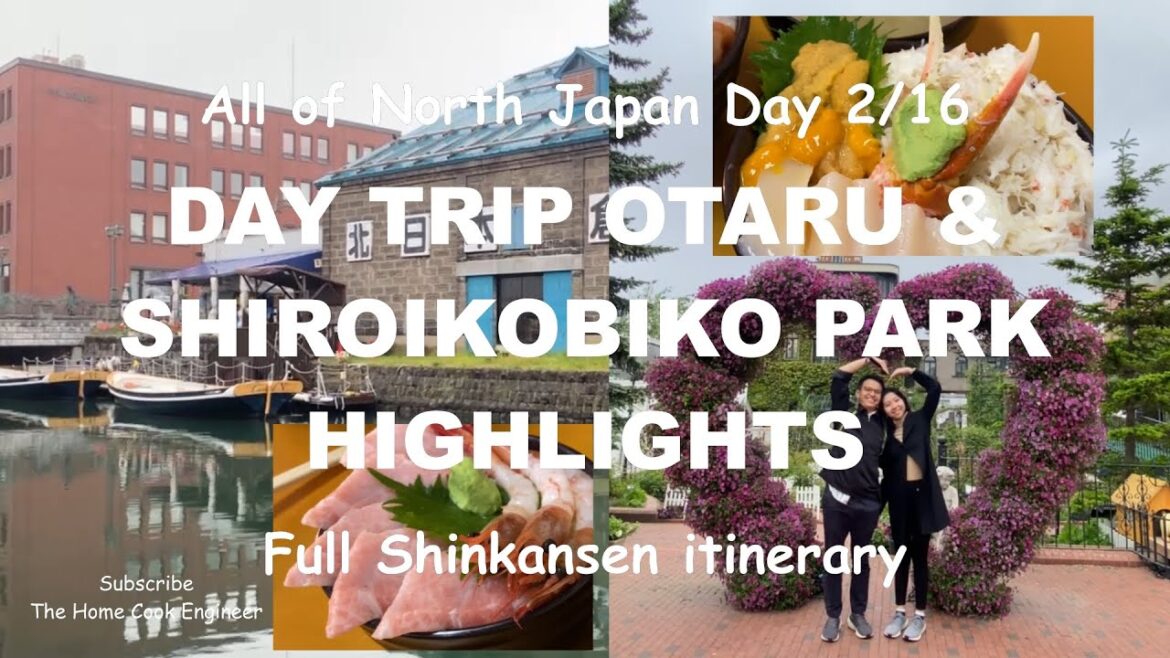 Food and Travel Trip to Otaru and Shiroikobiko Park! Hokkaido region Day 2 of 16