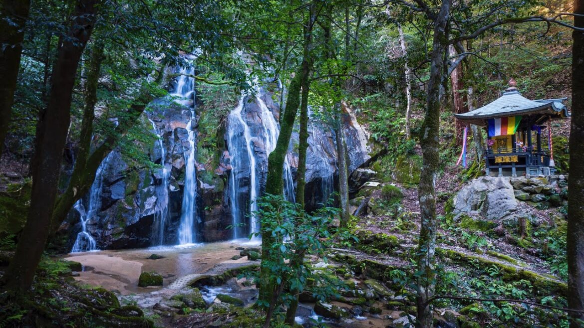 Kanabiki Falls, Walking to a Beautiful Waterfall in Kyoto Prefecture, Japan [4K]