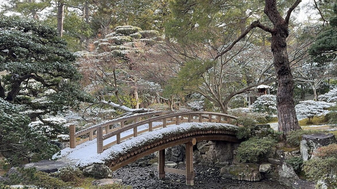 Kyoto Snow Day - 4K Imperial Palace 京都御所 Walk Through - Jan 25, 2024