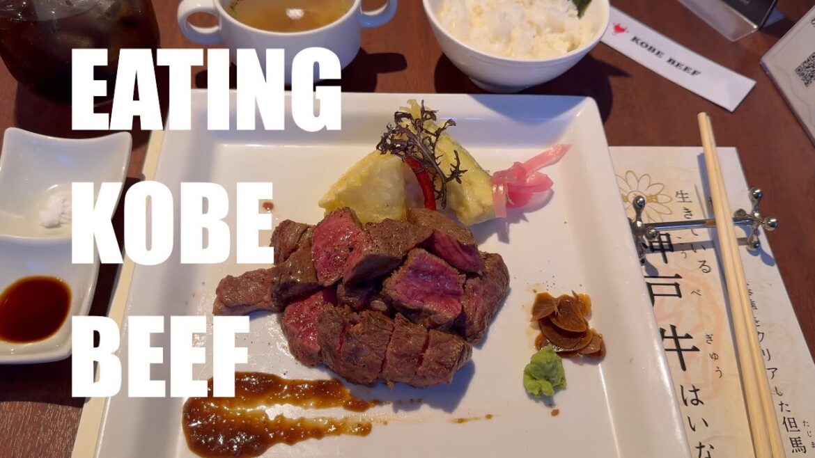 Japan Vlog - Eating Kobe Beef - Kobe Port Tour [4k/60FPS]
