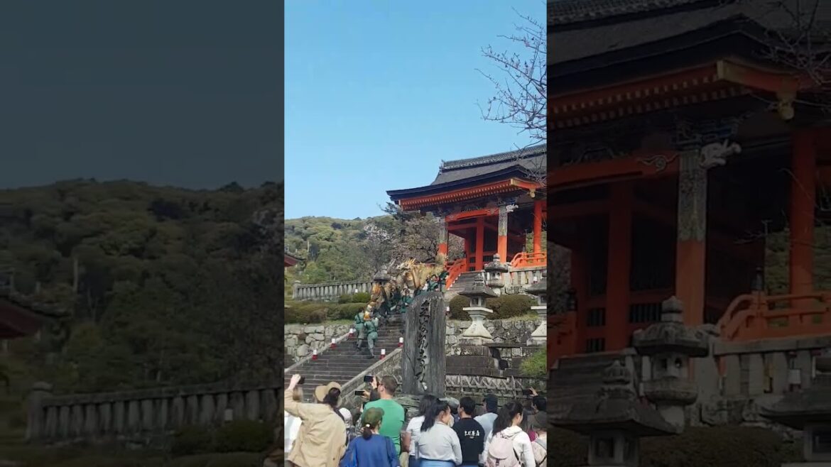 Dragon Festival Kiyomizu Temple Kyoto ๐๐พ #kyoto #kiyomizu #dragon Dragon Festival Kiyomizu Temple Kyoto ๐๐พ #kyoto #kiyomizu #dragon