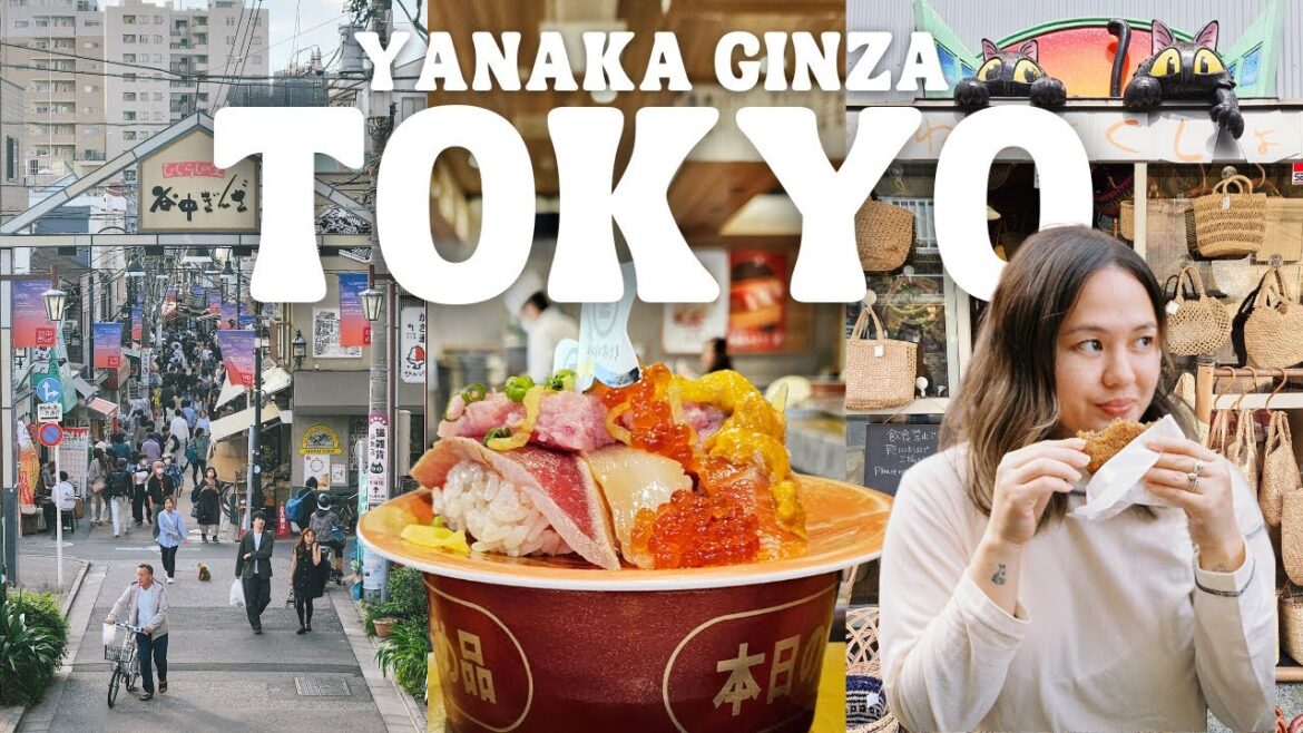 Yanaka Ginza Street Food 🇯🇵 Tokyo’s Cat Town, Retro Shopping Street, Narita Airport, Japan Vlog 2024 Yanaka Ginza Street Food 🇯🇵 Tokyo's Cat Town, Retro Shopping Street, Narita Airport, Japan Vlog 2024
