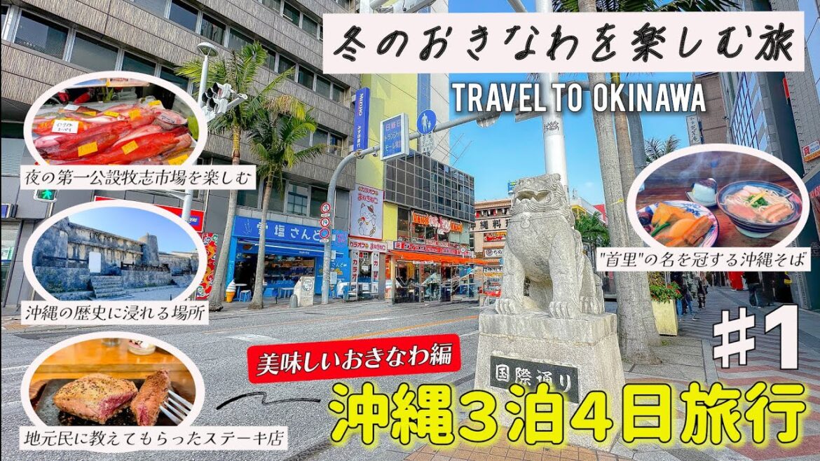 冬の沖縄が楽しすぎる！グルメや絶景、沖縄の歴史をスローに巡る旅プラン＃１　国際通り　第一牧志市場　玉陵　首里金城町の石畳道　首里金城の大アカギ