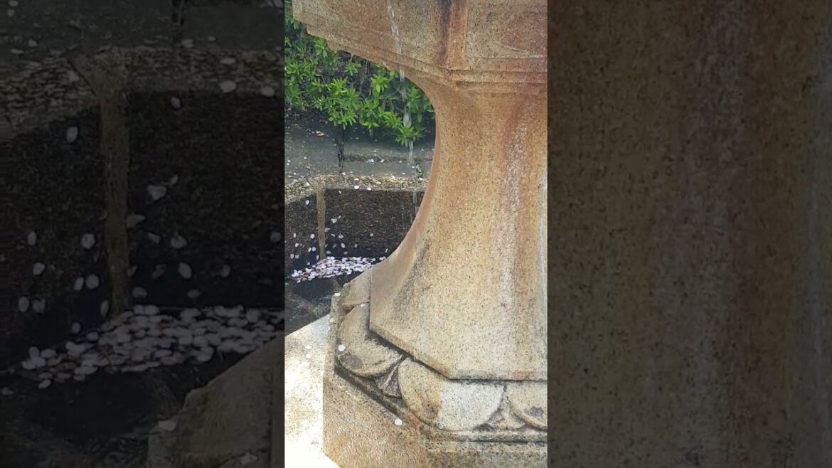 Kyoto Temple Fountain ๐บ๐๐พ #kyoto #temple #fountain Kyoto Temple Fountain ๐บ๐๐พ #kyoto #temple #fountain