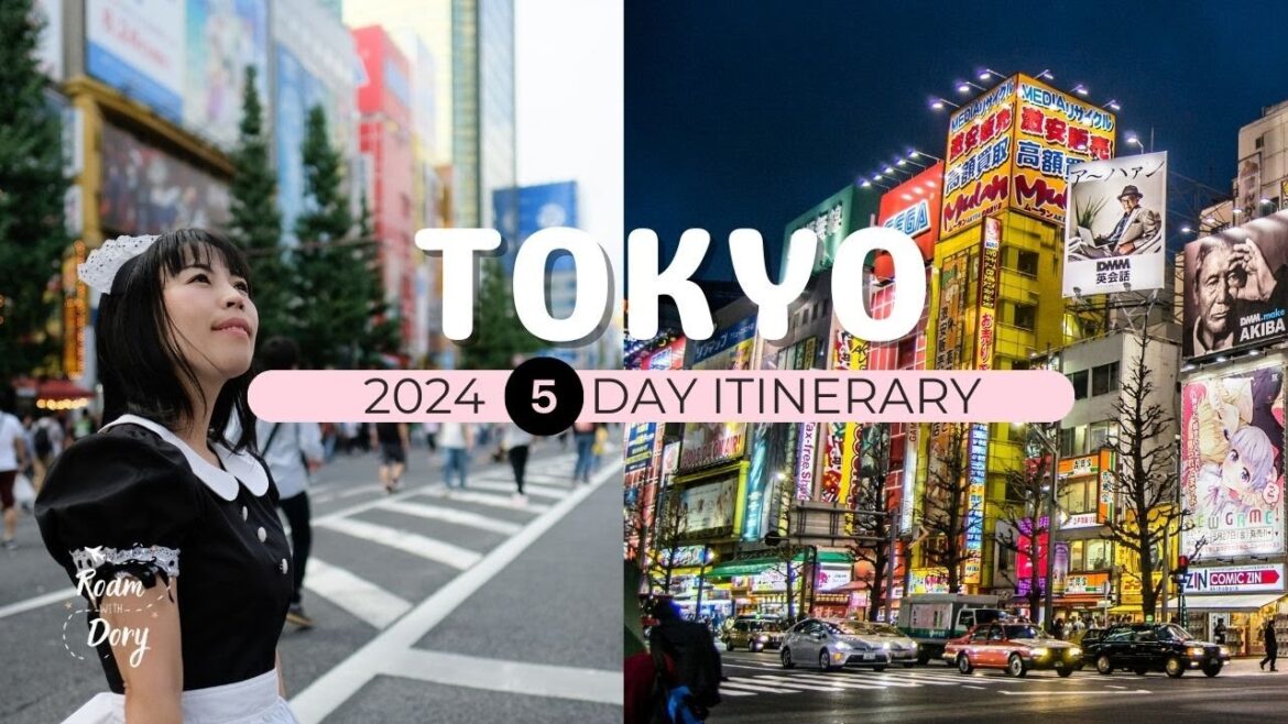 2024 Five Day Tokyo Travel Itinerary on a Moderate Budget