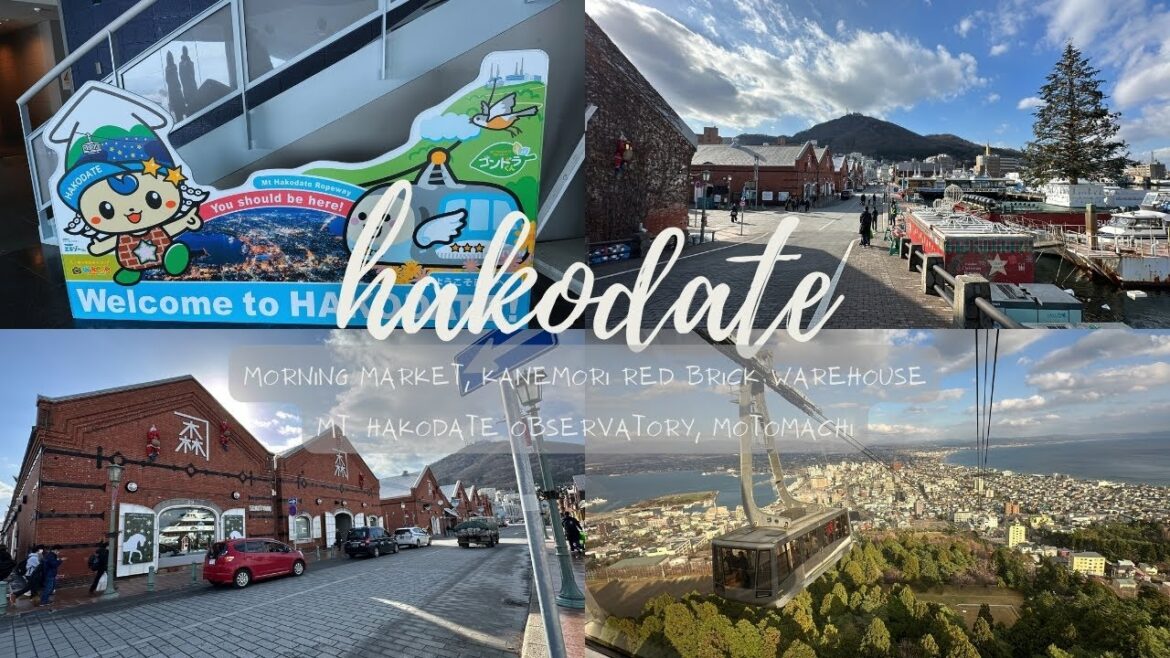 Hakodate Hokkaido Daytour | Morning Market | Red Brick Warehouse | Mt. Hakodate Observatory