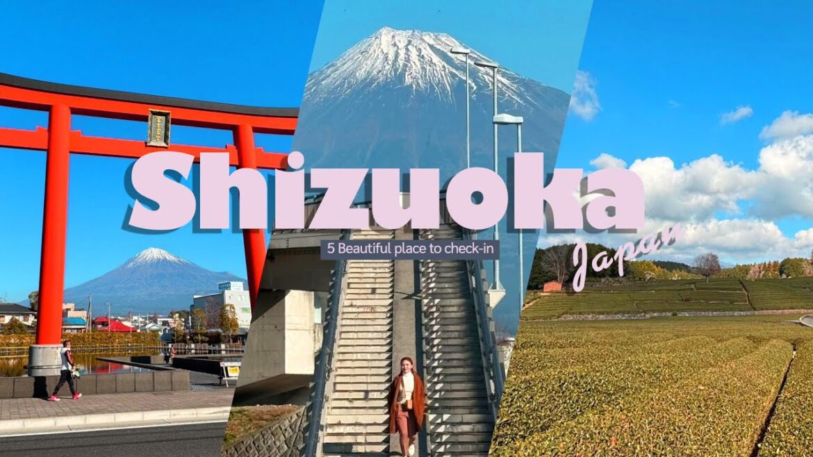 [ENG SUB]เที่ยวญี่ปุ่น 5 beautiful places to check-in Shizuoka📍ไปชิสุโอกะแบบใด ฟูจิสวย |giftK.pitcha