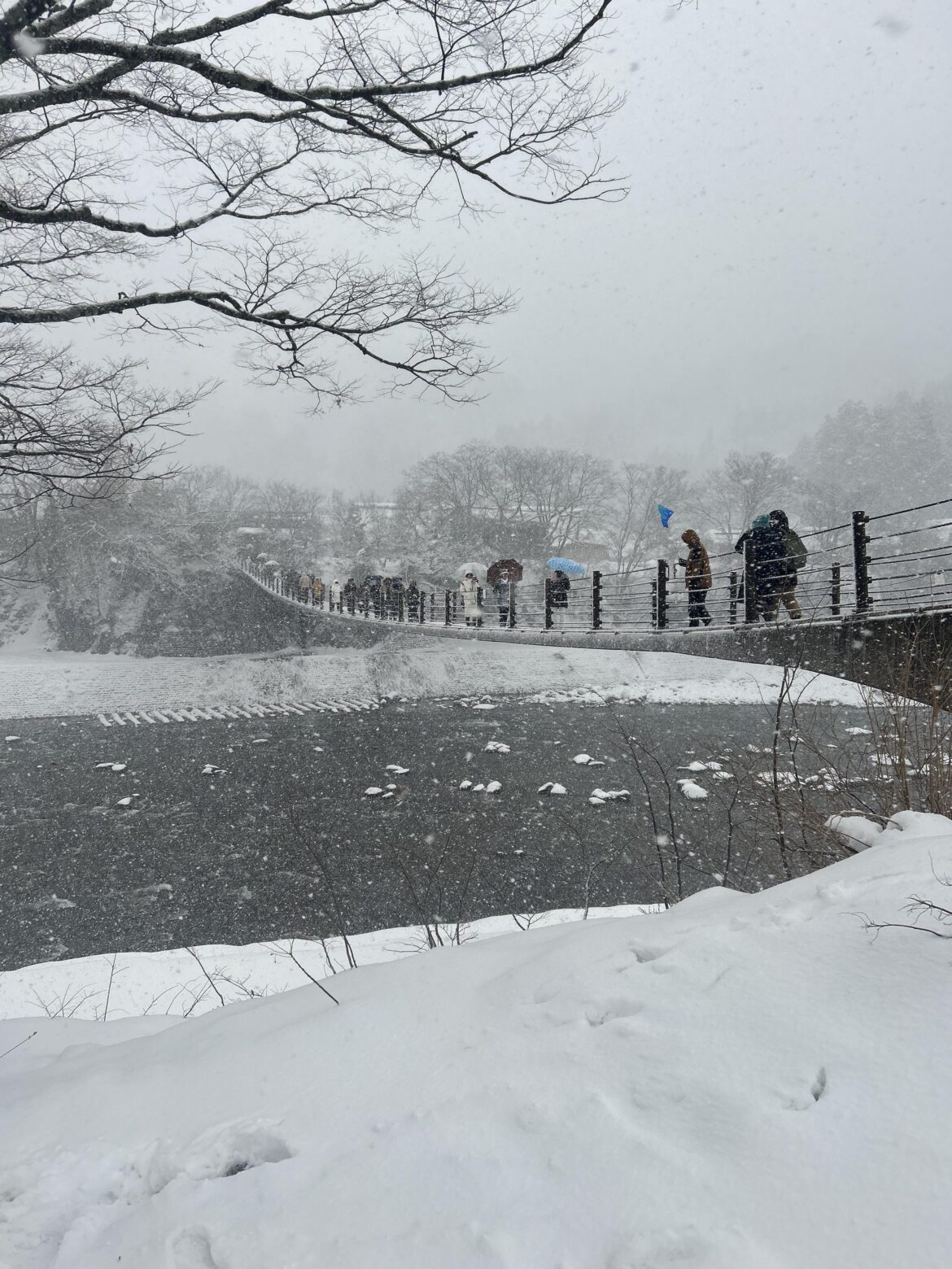 Shirakawa-go during heavy snowfall