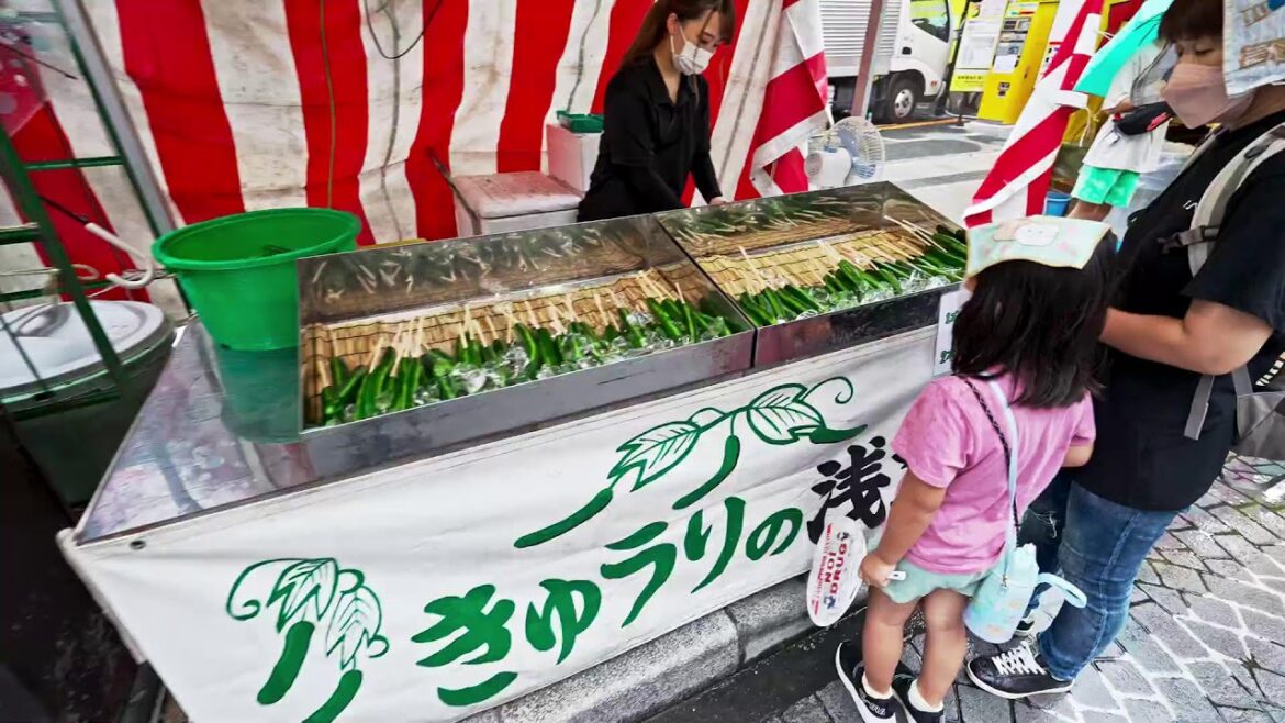 Infinite Walk all over Japan・Over 100 hours of 4K HDR prerecorded videos