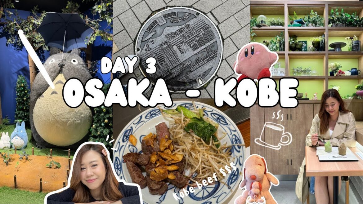 Kansai Vlog 2023.11.10 🇯🇵 Day 3 - Osaka Kobe
