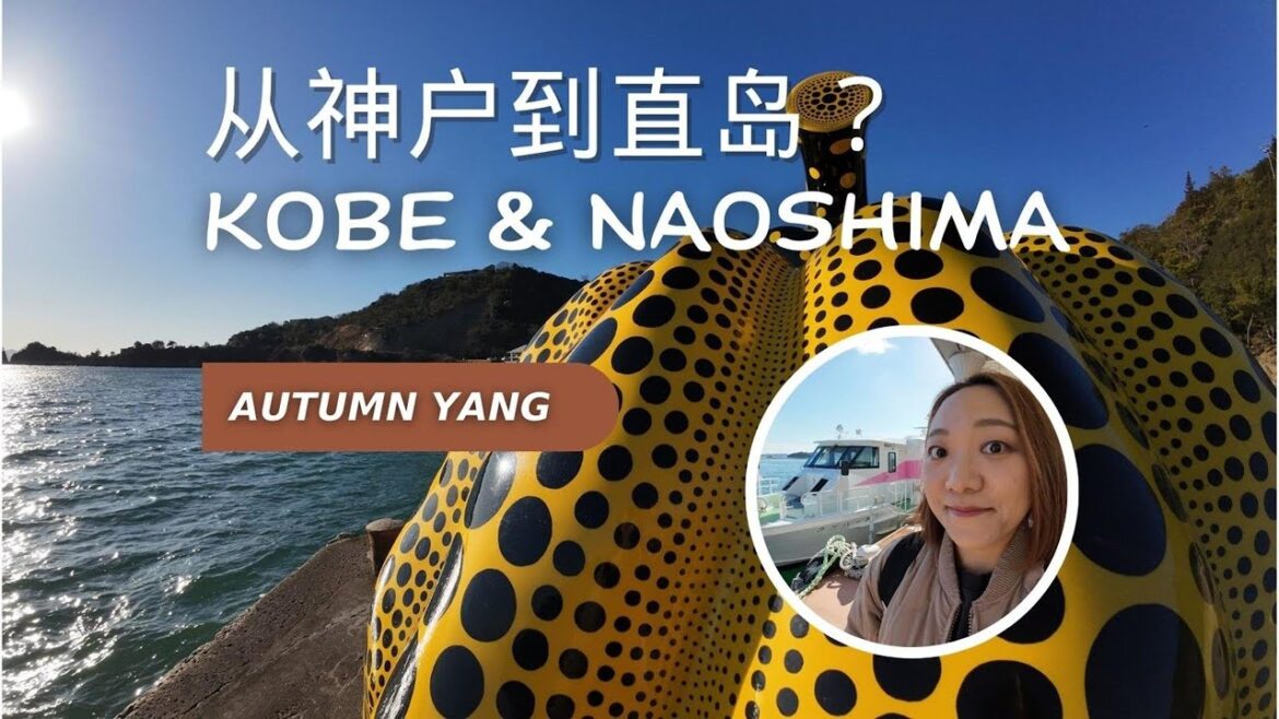 Gap Year Diaries | 2024去日本旅行，吃神户牛，骑电动自行车玩直岛，一个人的治愈之旅！