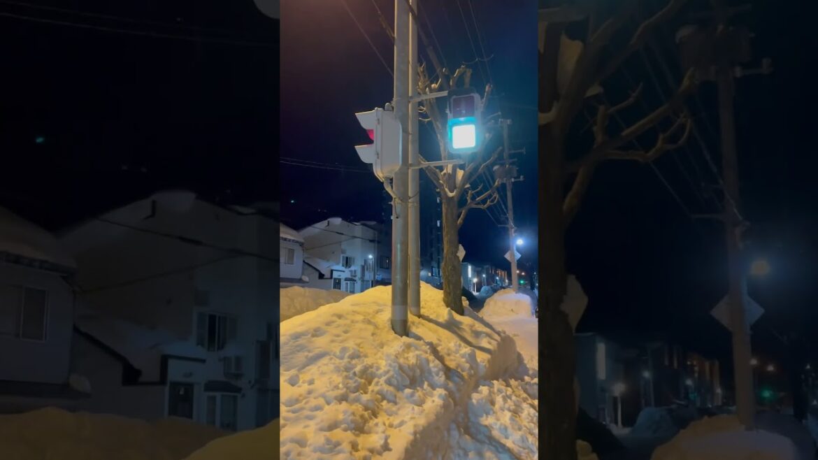 Night walk Otaru Japan #japan #snow #hokkaido #travel #ice #nightwalks