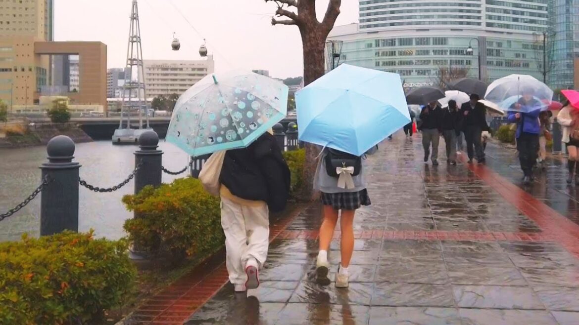 Yokohama walk – Scenery of ropeway over the canal – Jan. 2024 Yokohama walk - Scenery of ropeway over the canal - Jan. 2024