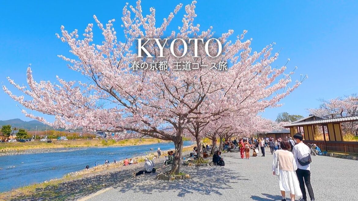 春の京都オススメ王道コース - 嵐山・河原町・二条城 | 桜・渡月橋・松尾大社・天龍寺・グルメ・ホテル・おばんざい | Kyoto, Japan travel vlog