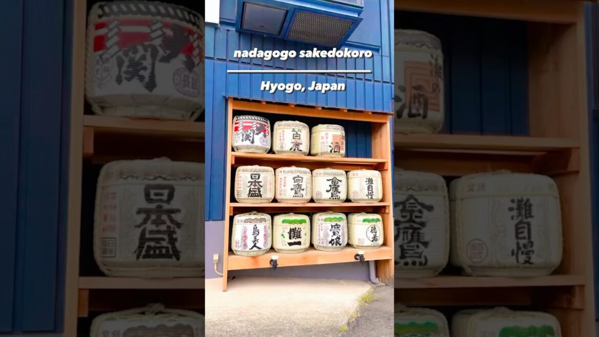 Connoisseur of Japanese Sake🍶｜KANSAI Tourism Bureau｜JNTO Members