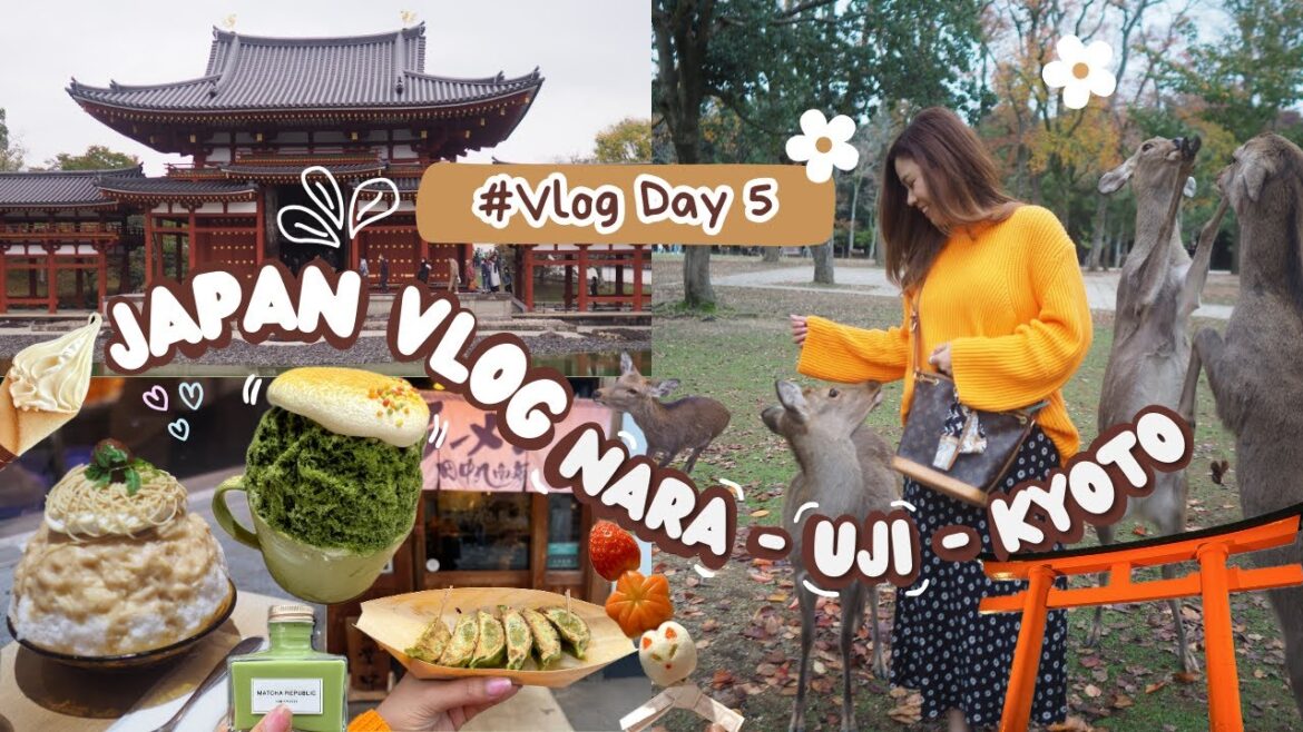 Kansai Vlog 2023.11.12 π―π΅ Day 5 – Kyoto Uji Nara Kansai Vlog 2023.11.12 π―π΅ Day 5 - Kyoto Uji Nara