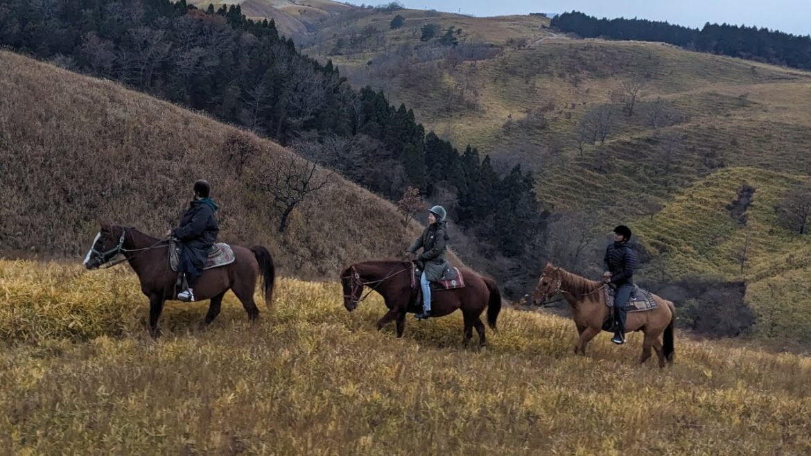 Miso Dengaku and Horse Riding in Aso, Kumamoto | Aso Trip 2023.11 Miso Dengaku and Horse Riding in Aso, Kumamoto | Aso Trip 2023.11
