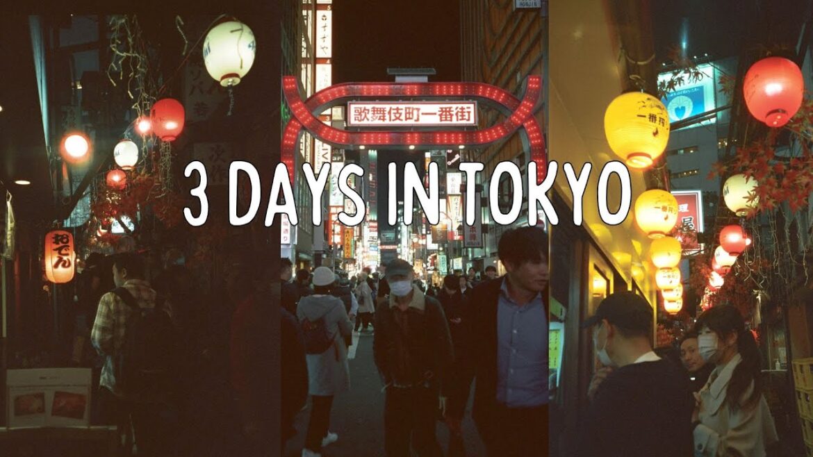 japan vlog πΌ 72 hours in tokyo, exploring around, teamlab planets japan vlog πΌ 72 hours in tokyo, exploring around, teamlab planets