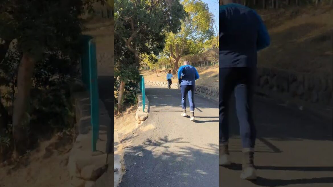 Relaxing winter walk in Egeyama Park #walking #park #kobejapan