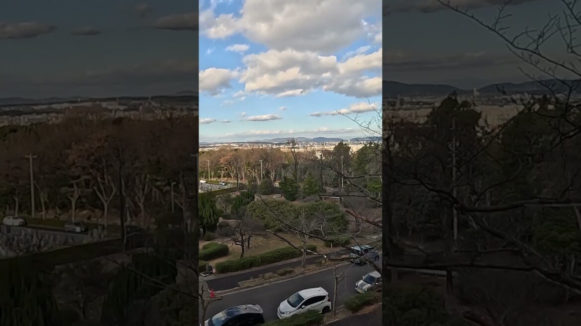 View of Nagoya from Heiwa Park  #japan #travel #japanesecity #walking #4k #japanese  #japanwalker