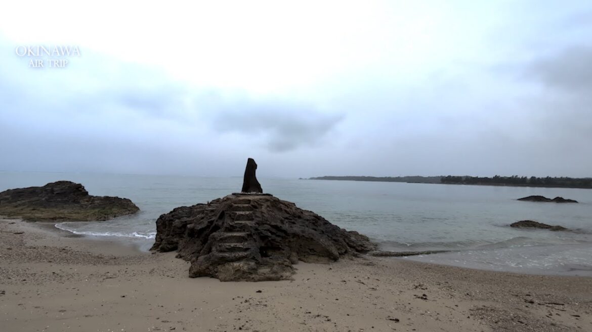 【OKINAWAN BEACH AREA TEKUTEKU】 ジュゴンが居ないビーチを歩く 久志の浜ビーチ@名護市久志 【OKINAWAN BEACH AREA TEKUTEKU】 ジュゴンが居ないビーチを歩く 久志の浜ビーチ@名護市久志