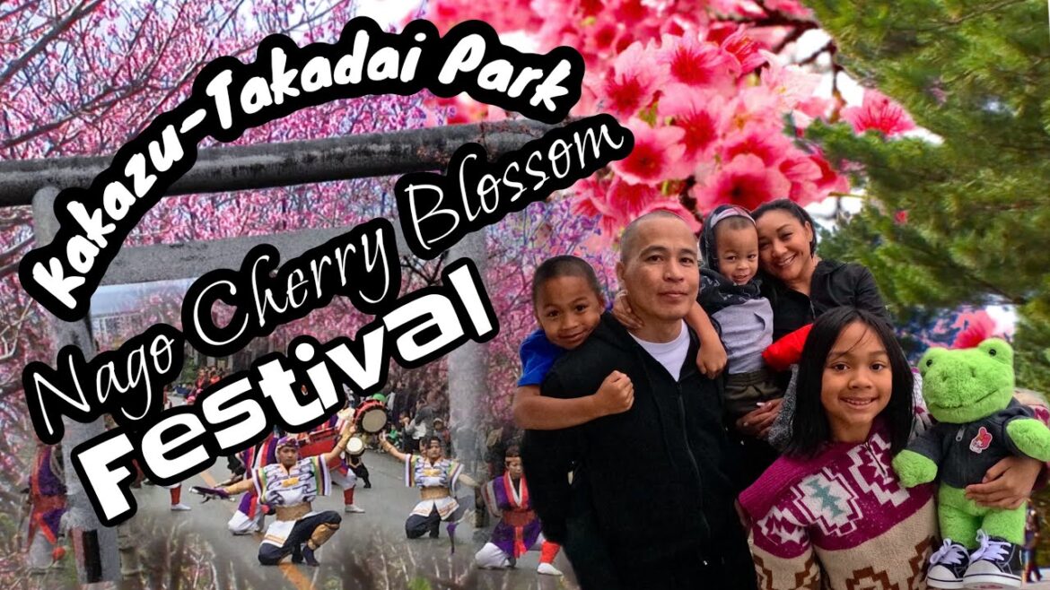 Chasing Cherry Blossoms In Okinawa, Japan: Kakazu-Takadai Park to Nago Cherry Blossom Festival Chasing Cherry Blossoms In Okinawa, Japan: Kakazu-Takadai Park to Nago Cherry Blossom Festival